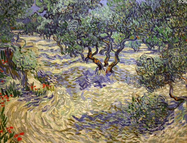 Olive Orchard painting (1889) by Vincent van Gogh at Nelson-Atkins Museum. Kansas City, MO.