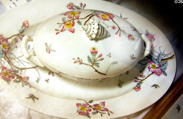 Turkey platter & soup tureen (c1871) brought to NE by early settler at Aurora Plainsman Museum. Aurora, NE.