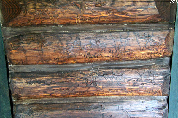 Log wall using insect tracks as decorative element at Stickley Museum at Craftsman Farms. Morris Plains, NJ.