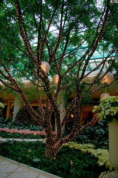 Lobby garden of Wynn Las Vegas. Las Vegas, NV.