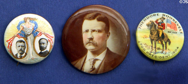 Theodore Roosevelt campaign buttons (c1904) at Buffalo History Museum (BECHS). Buffalo, NY.