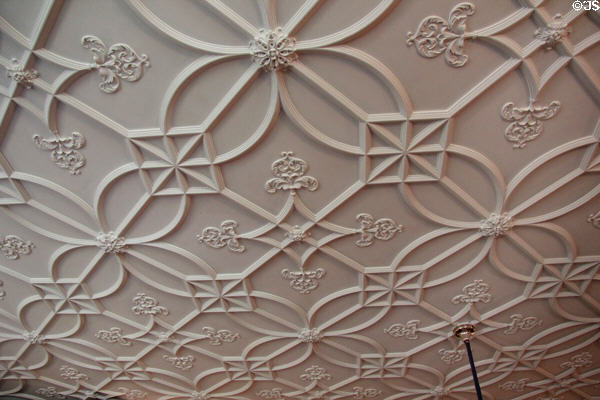 Plasterwork ceiling with intricate geometric decorations in dining room at Eastman House. Rochester, NY.