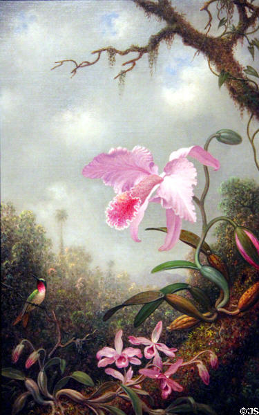 Hummingbird with Cattleya & Dendrobium Orchids painting (c1890) by Martin Johnson Heade at Memorial Art Gallery. Rochester, NY.