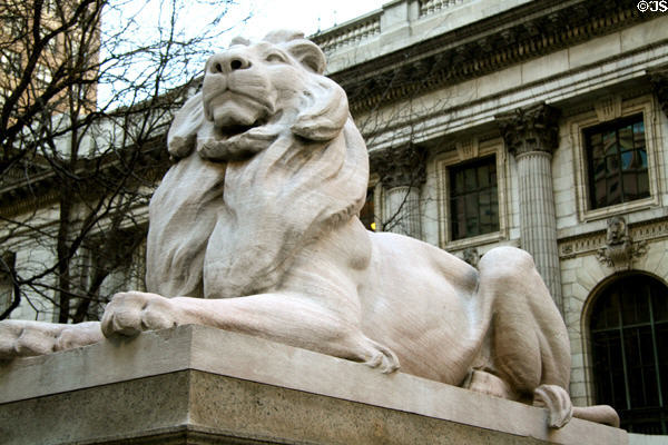 Lions (1911) by Edward Clark Potter on steps of New York Public Library. New York, NY.