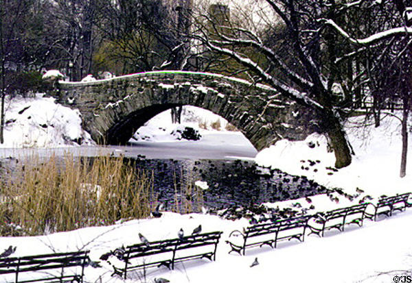 Winter scene in Central Park. New York, NY.