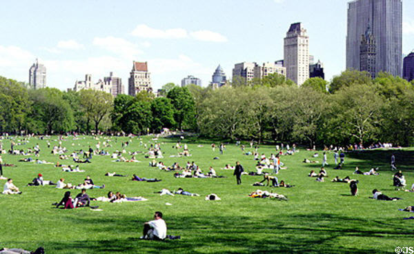 Sunbathers in Central Park. New York, NY.