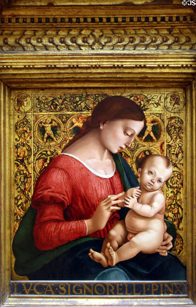 Madonna & Child painting (c1500-7) by Luca Signorelli & workshop at Metropolitan Museum of Art. New York, NY.