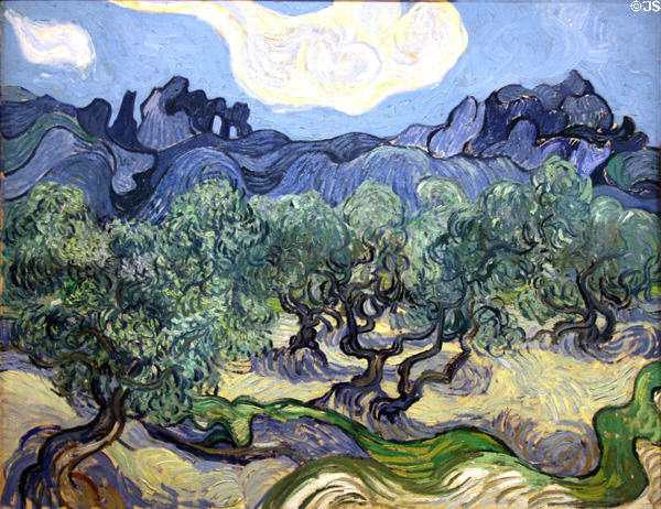 The Olive Trees (1889) painting by Vincent van Gogh at MoMA. New York, NY.