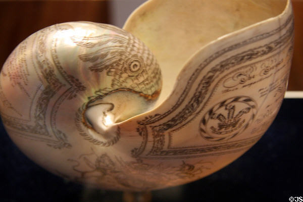 Engraved Nautilus Shell at South Street Seaport Museum. New York, NY.