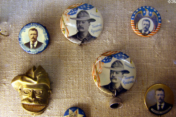Roosevelt campaign button for Governor race at Theodore Roosevelt Birthplace. New York, NY.