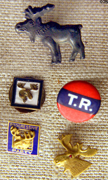 National Progressive (Bullmoose) Party buttons (1912) when Theodore Roosevelt split votes letting Woodrow Wilson win at Roosevelt's Birthplace. New York, NY.