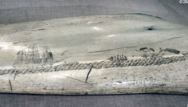 Detail of scrimshaw whaling hunt scene on pan bone at Whaling Museum. Cold Spring Harbor, NY.