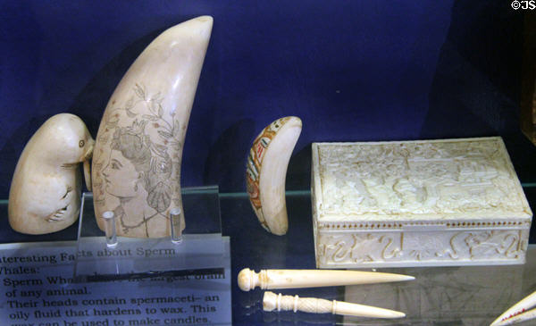 Scrimshaw objects including box at Whaling Museum. Cold Spring Harbor, NY.