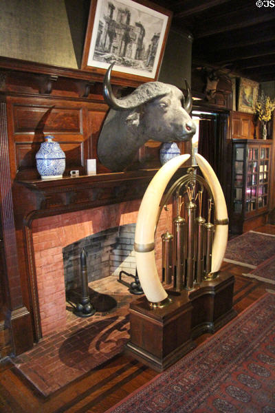 Entry hall fireplace with cape buffalo head & chimes hanging from elephant tusks at Roosevelt's House Sagamore Hill NHS. Cove Neck, NY.