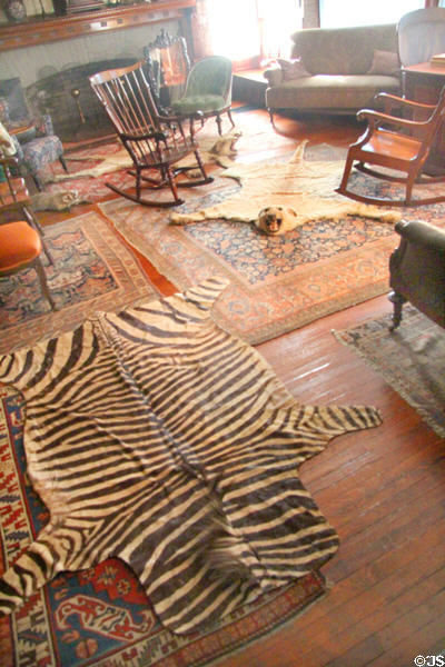Animal skins on library floor at Roosevelt's House Sagamore Hill NHS. Cove Neck, NY.