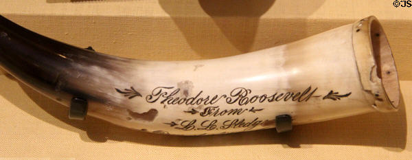 Carved cattle horn presented to President Roosevelt in Texas (1908) at Old Orchard Museum at Sagamore Hill NHS. Cove Neck, NY.