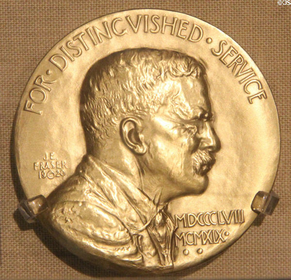 Theodore Roosevelt Distinguished Service Medal (1920) by James E. Fraser at Old Orchard Museum at Sagamore Hill NHS. Cove Neck, NY.