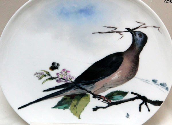 President Rutherford B. Hayes China plate with passenger pigeon painting by Haviland at Hayes Presidential Center. Fremont, OH.