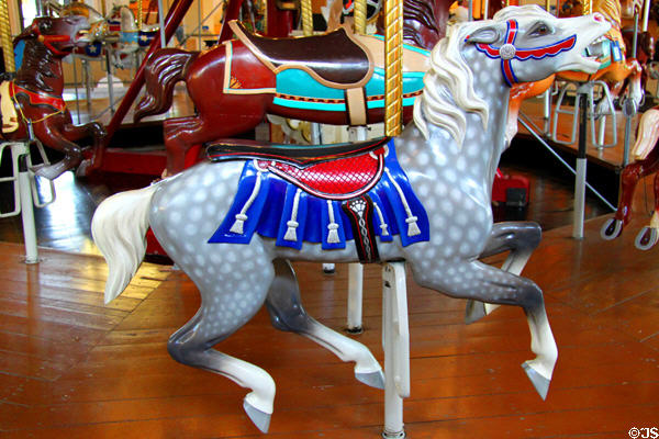 Gray horses with red & blue saddle on Merry-Go-Round Museum's working carousel. Sandusky, OH.