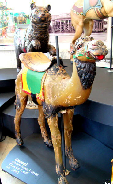 Coney Island style carousel camel (c1895) by Charles Looff at Merry-Go-Round Museum. Sandusky, OH.