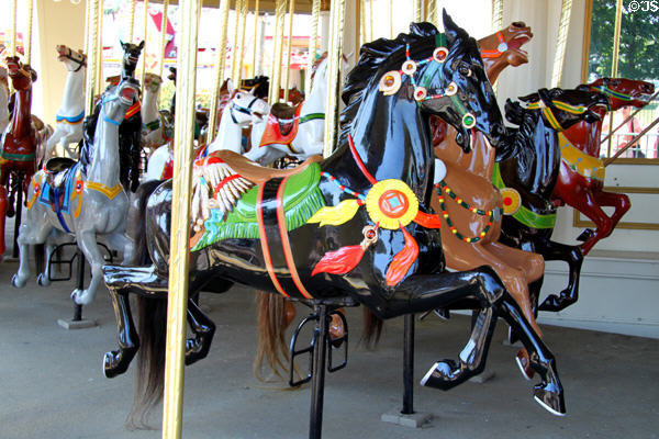 Carousel horses (1912) by Daniel Muller now at Cedar Point. Sandusky, OH.