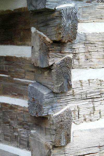 Detail of corner notched logs for Annie Brown Log Home (1851) at Historic Lyme Village Museum. Bellevue, OH.