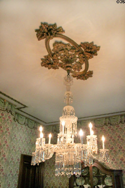 Chandelier & ceiling medallion in dining room at Hower House. Akron, OH.