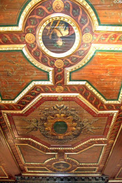 Parlor ceiling in Bingham-Hanna Mansion at Cleveland History Center. Cleveland, OH.