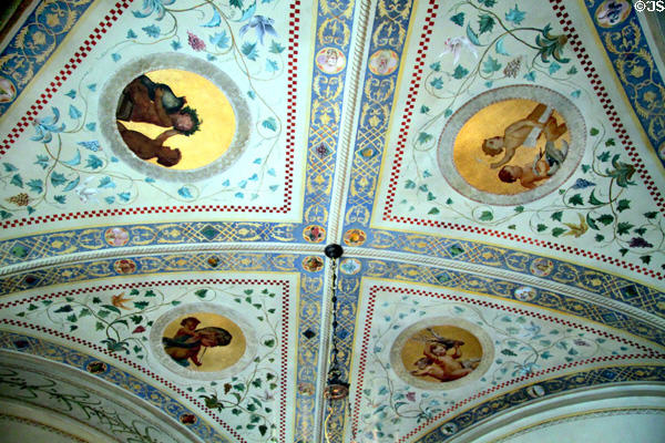 Painted ceiling in hallway of Bingham-Hanna Mansion at Cleveland History Center. Cleveland, OH.