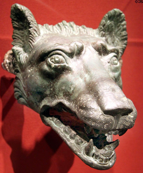 Roman bronze Wolf Head (1-100 CE) at Cleveland Museum of Art. Cleveland, OH.