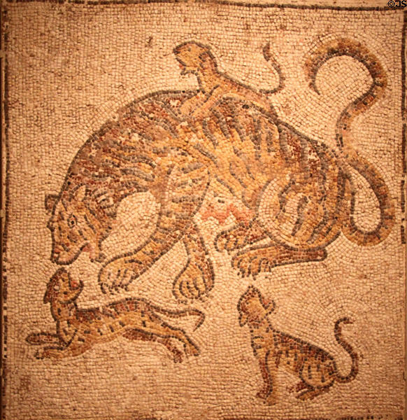 Roman floor mosaic of Tigress & Cub (300-400) at Cleveland Museum of Art. Cleveland, OH.