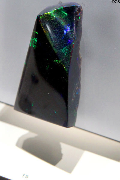 Black opal from Nevada at Cleveland Museum of Natural History. Cleveland, OH.
