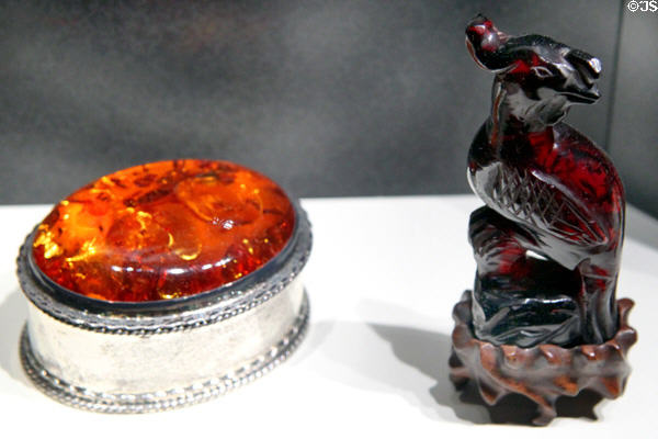 Amber box & bird carving at Cleveland Museum of Natural History. Cleveland, OH.
