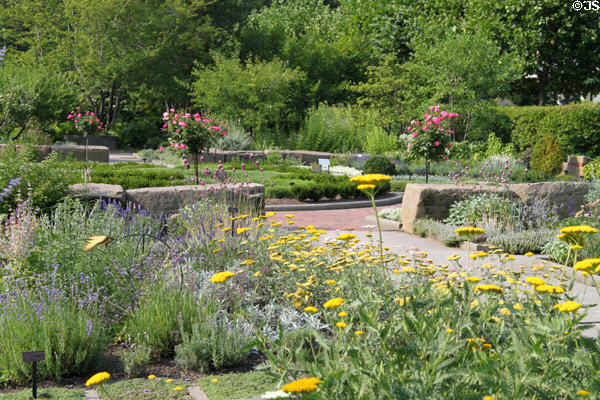 Garden at Cleveland Botanical Garden. Cleveland, OH.