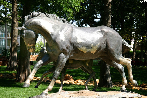 Paint Mare & Filly statue by Veryl Goodnight at National Cowboy Museum. Oklahoma City, OK.