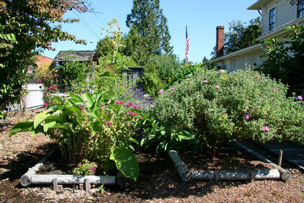 Garden at Hoover - Minthorn House. Newberg, OR.