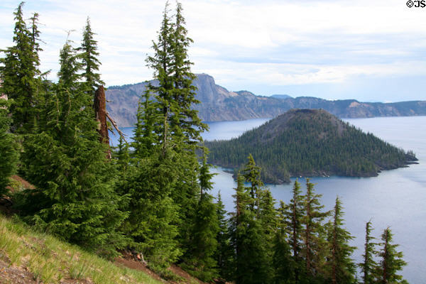Forests of Crater Lake National Park. OR.