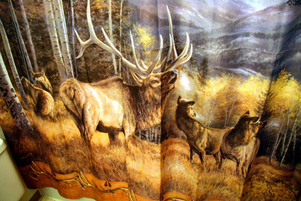 Elk shower curtain in Woodsman Country Lodge. Crescent, OR.