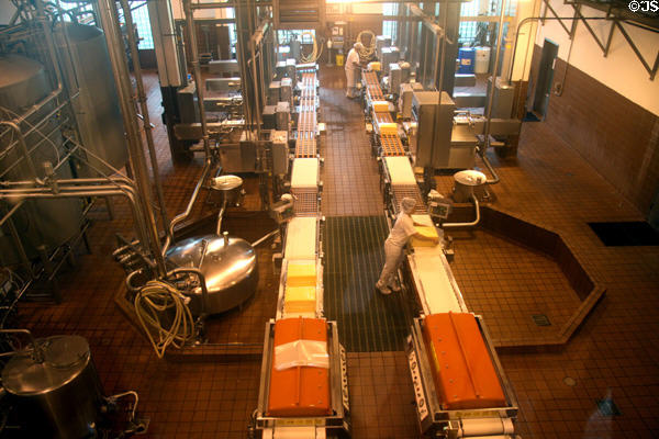 Tillamook Cheese Factory scene. Tillamook, OR.
