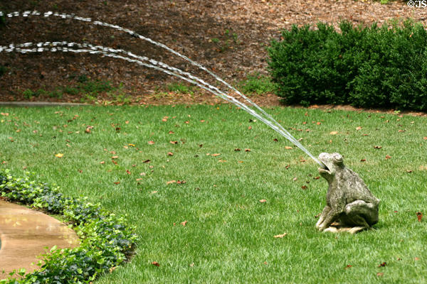 Stone frog squirts water fountain garden at Longwood. Kennett Square, PA.