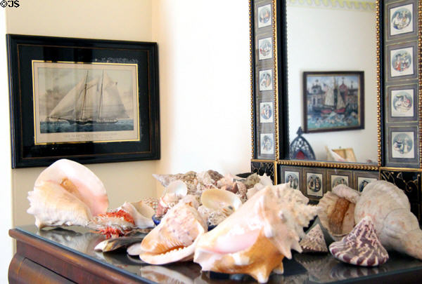 Shell collection in guest bedroom at Chepstow. Newport, RI.