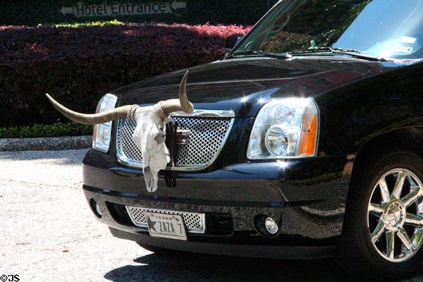 Limo with longhorn skull. Houston, TX.