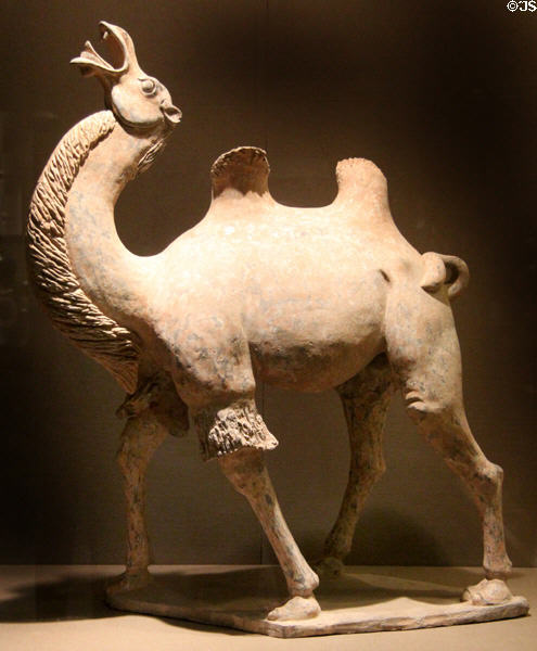 Tang dynasty earthenware camel (late 7th C) from China at San Antonio Museum of Art. San Antonio, TX.