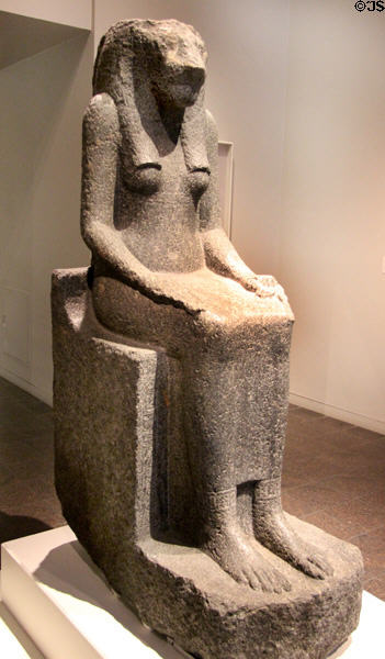 Egyptian granodiorite statue of Sekhmet (c1390-1352 BCE, New Kingdom, Dynasty 18, reign of Amenhotep III) at San Antonio Museum of Art. San Antonio, TX.