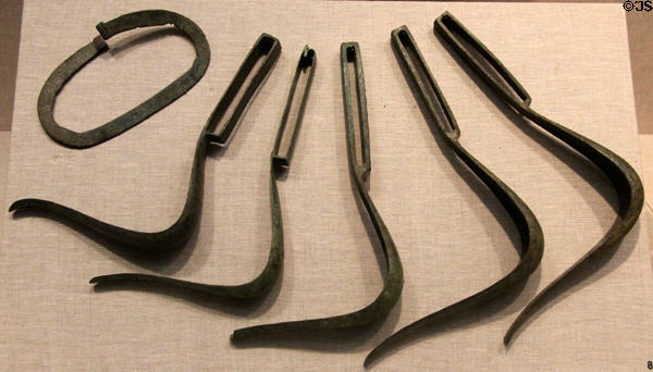 Roman strigils (1st-3rd C CE) at San Antonio Museum of Art. San Antonio, TX.