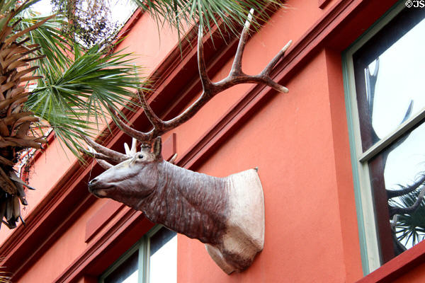 Elk statue on Buckhorn Saloon & Museum. San Antonio, TX.