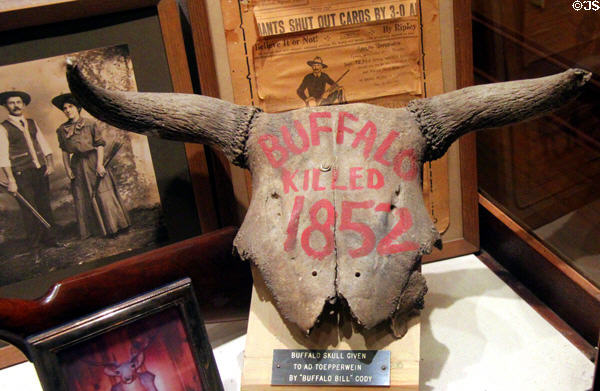 Buffalo skull killed (1852) by Buffalo Bill Cody at Buckhorn Museum. San Antonio, TX.