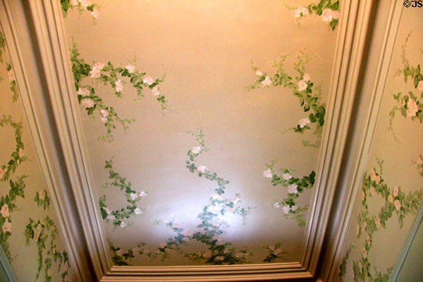 Central hall ceiling painted with flowering vines at Edward Steves Homestead Museum. San Antonio, TX.