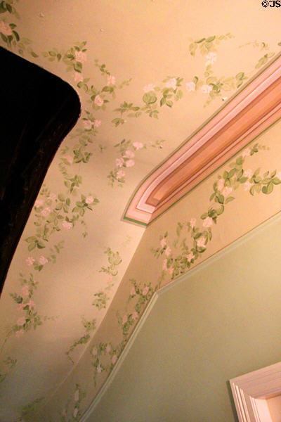 Painted ceiling at Edward Steves Homestead Museum. San Antonio, TX.