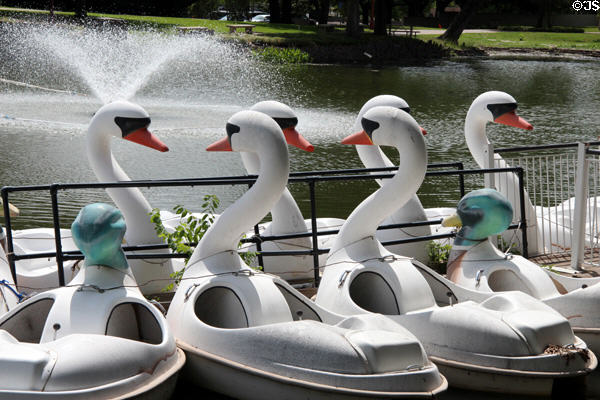Swan boats in lagoon at Fair Park. Dallas, TX.